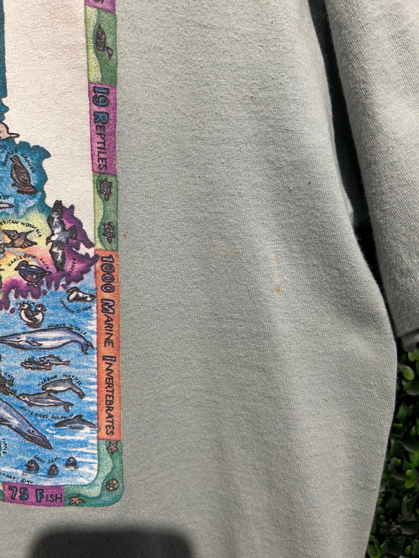 90s Maine Wild Animals T-Shit. Size S/M