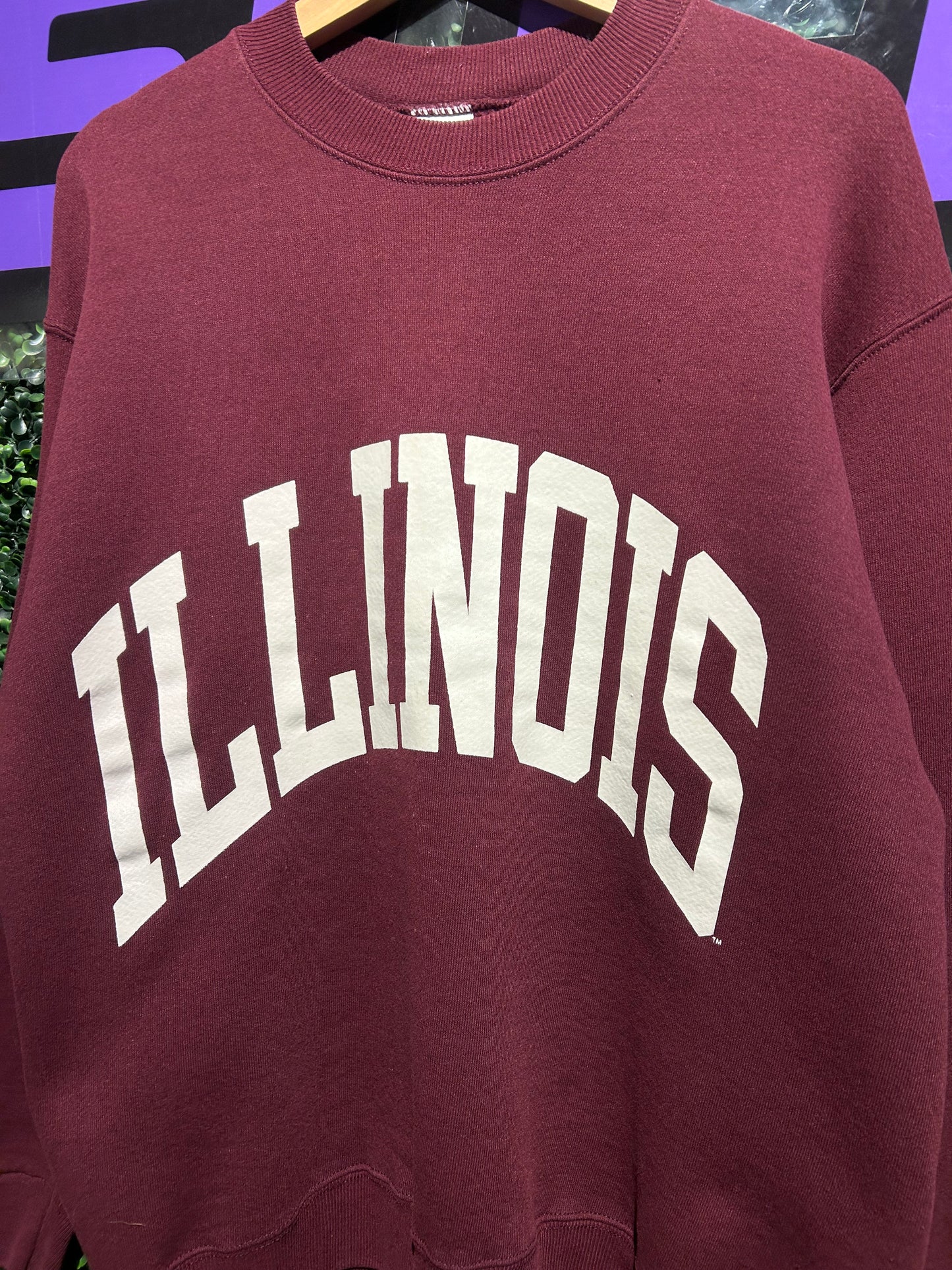 Vintage Illinois Champion Crewneck. Size M/L