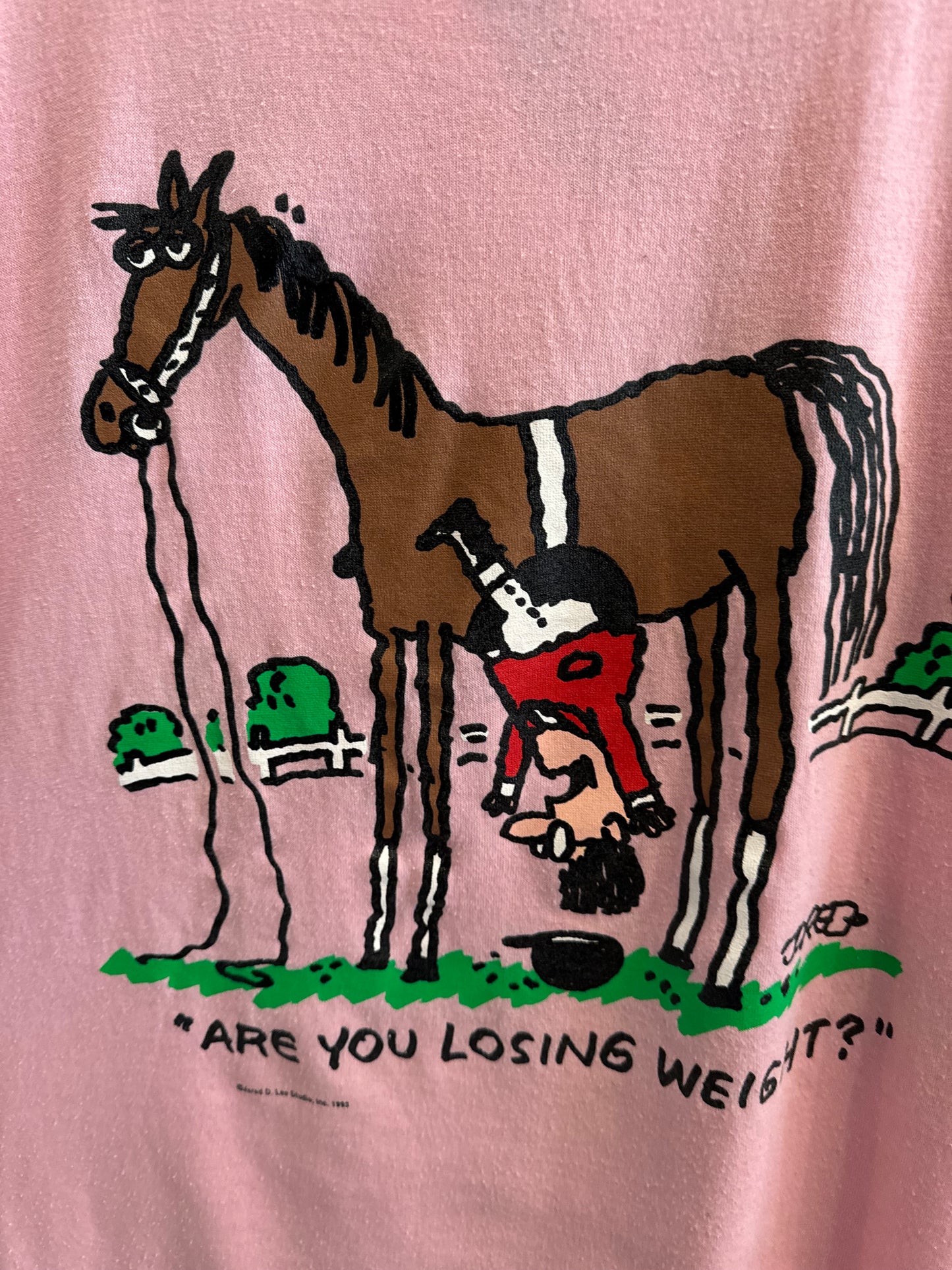 1993 Losing Weight Horse T-Shirt Size XL