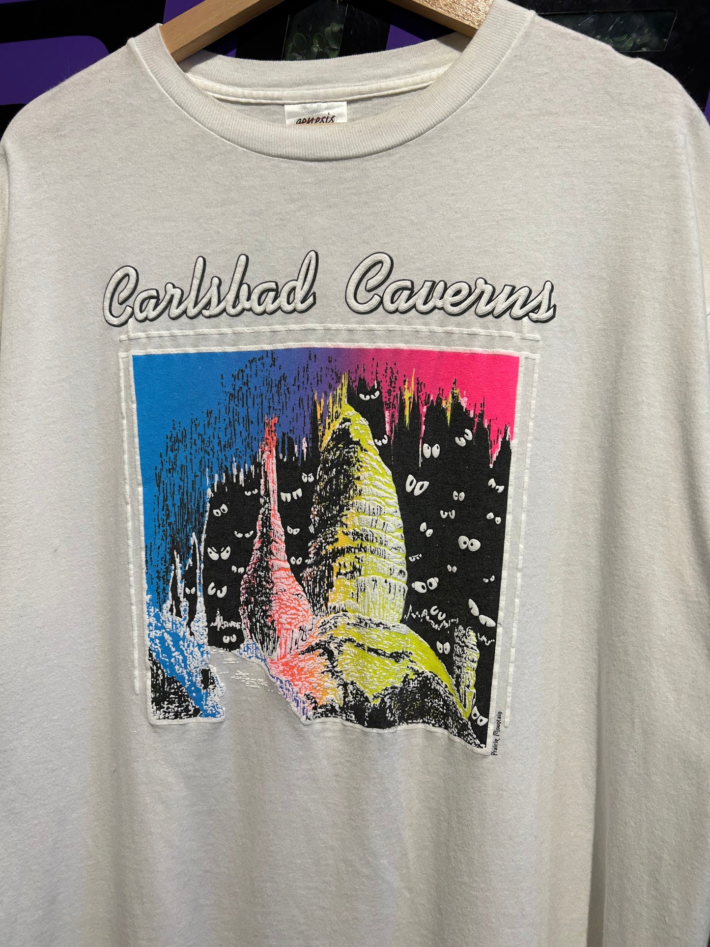 90s Carlsbad Cavern T-Shirt. Size XL