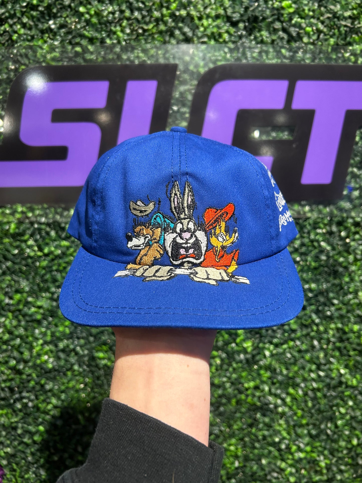90s Disney Splash Mountain Snapback Hat. Youth Size