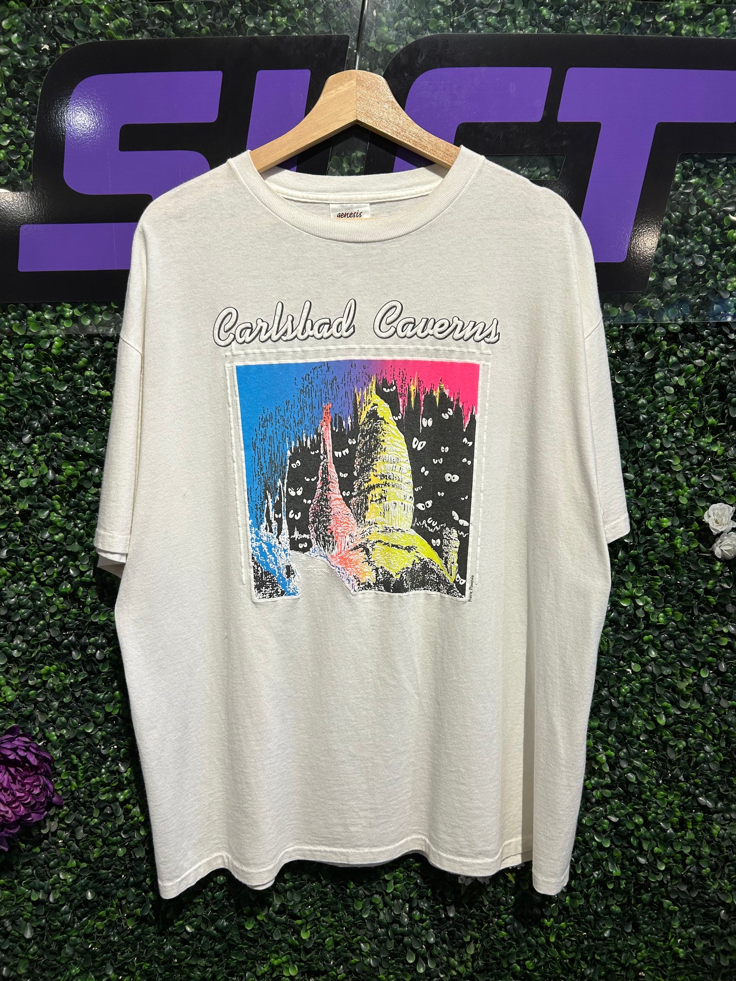 90s Carlsbad Cavern T-Shirt. Size XL