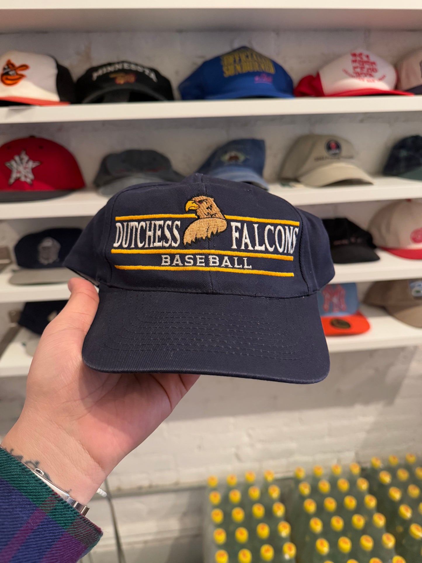 Vintage Dutchess Falcons Baseball Hat